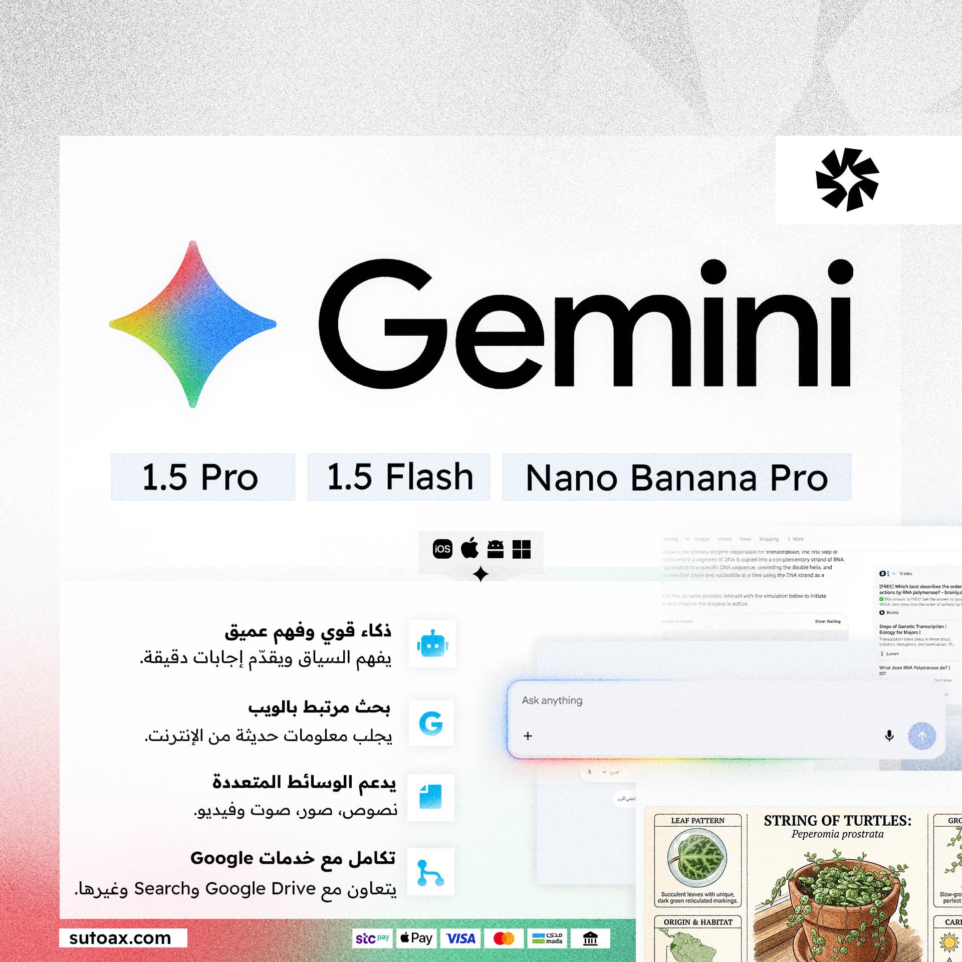 اشتراك Google Gemini Pro | جوجل جيميناي برو - 1